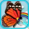 Girl butterfly:Girl makeup games