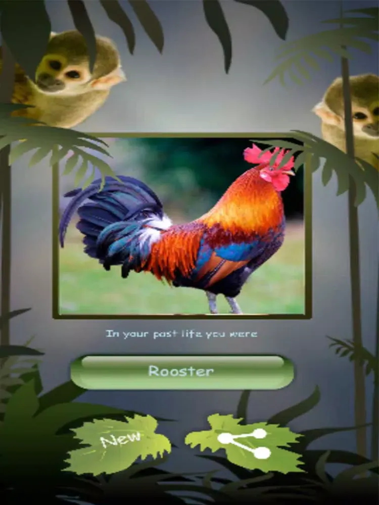 Capturas de pantalla de Small Animal Research:Animal care Game iPad 