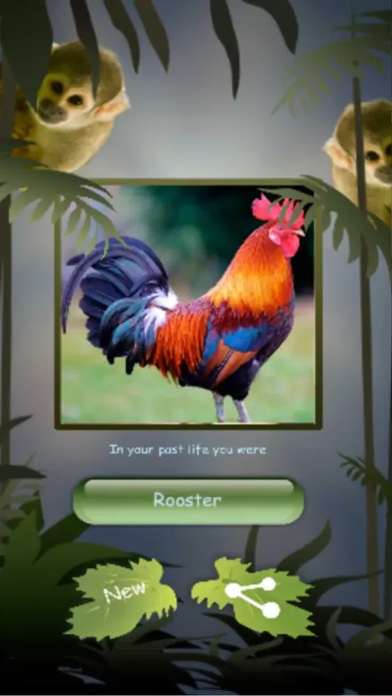 Capturas de pantalla de Small Animal Research:Animal care Game