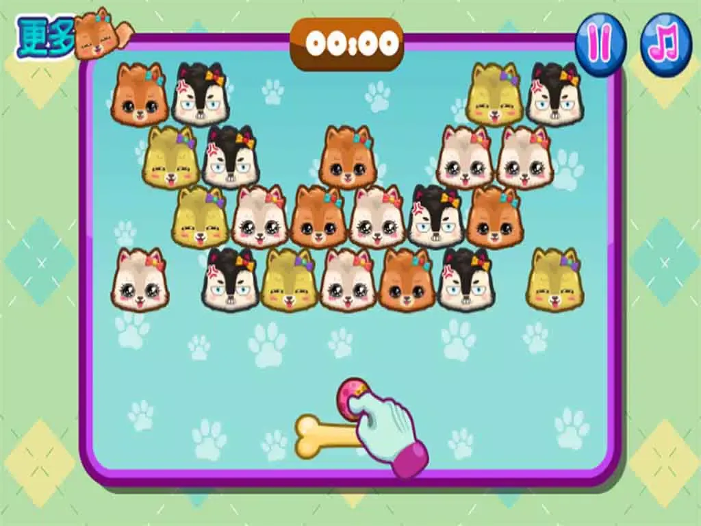 تصاویر Coco Puppy-CN iPad 