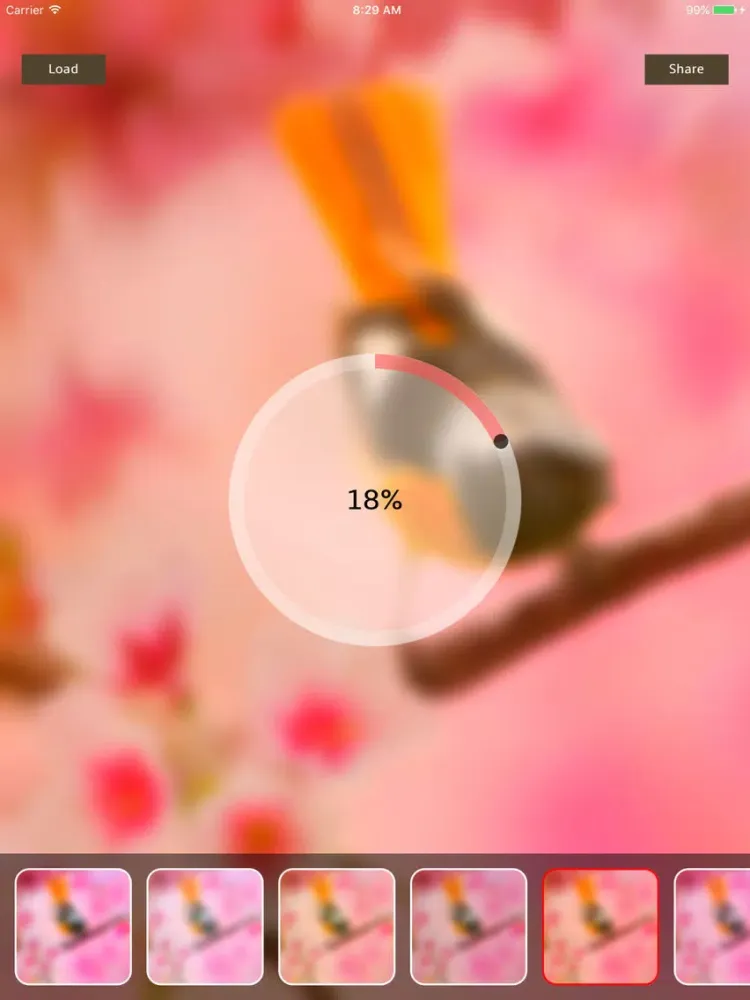 ภาพหน้าจอของ Photo Blur Gallery iPad 