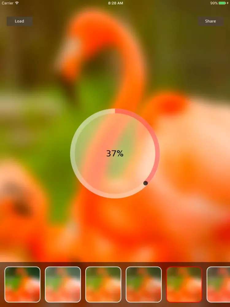 ภาพหน้าจอของ Photo Blur Gallery iPad 