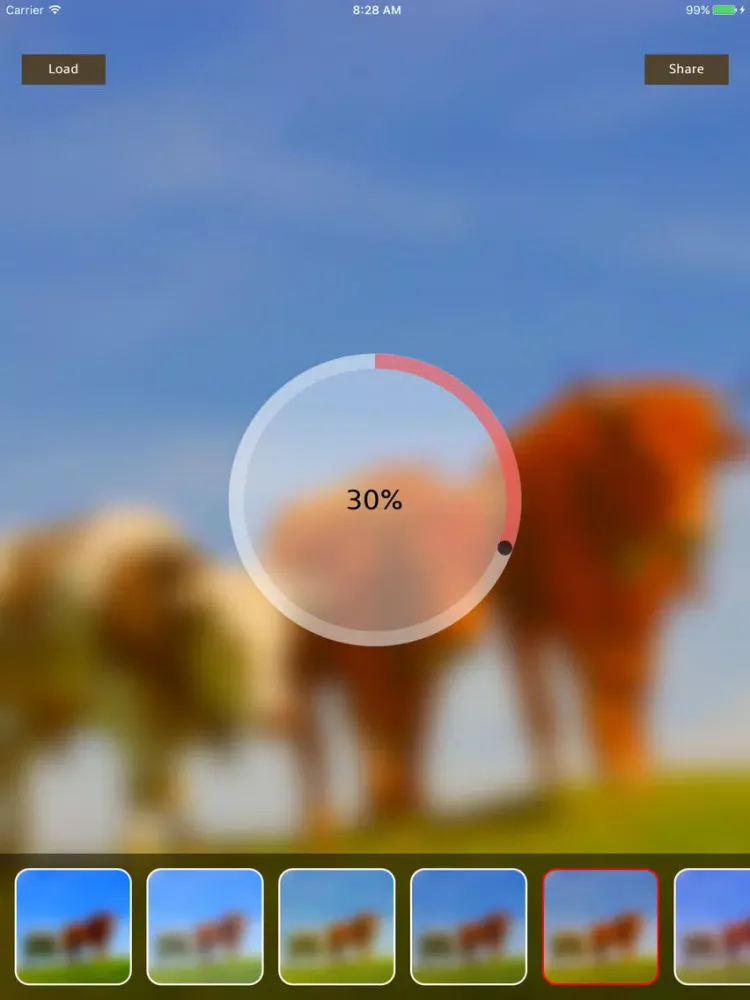 ภาพหน้าจอของ Photo Blur Gallery iPad 