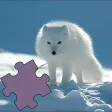 Animals Best Puzzle
