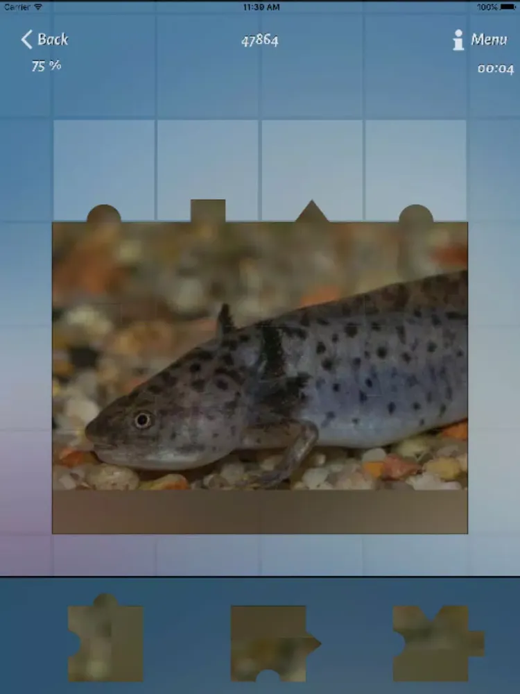 Animals Best Puzzle iPad  Screenshots