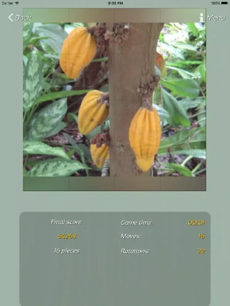 Ảnh chụp màn hình của Fruits Jigsaw Puzzles iPad 