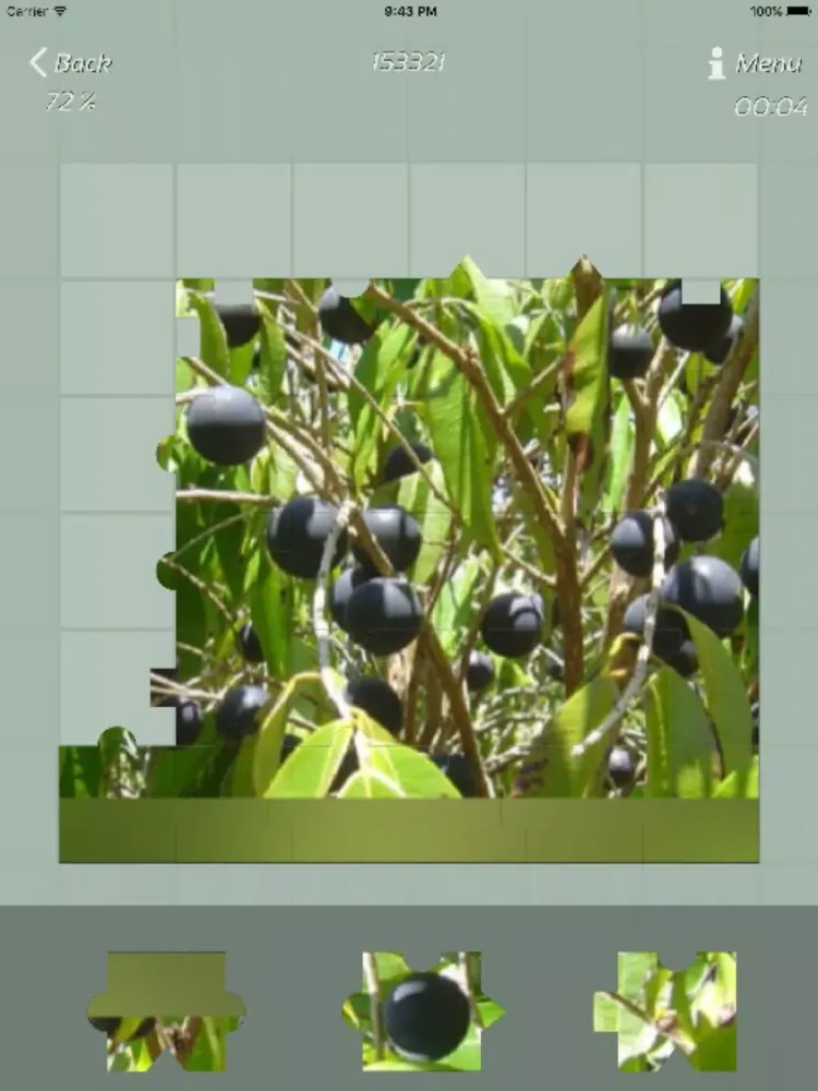 Ảnh chụp màn hình của Fruits Jigsaw Puzzles iPad 