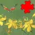 Insects Best Puzzles