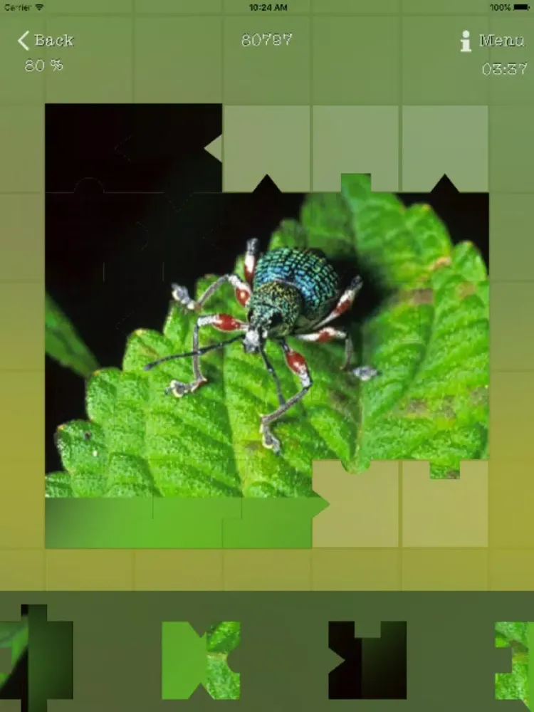 تصاویر Insects Best Puzzles iPad 
