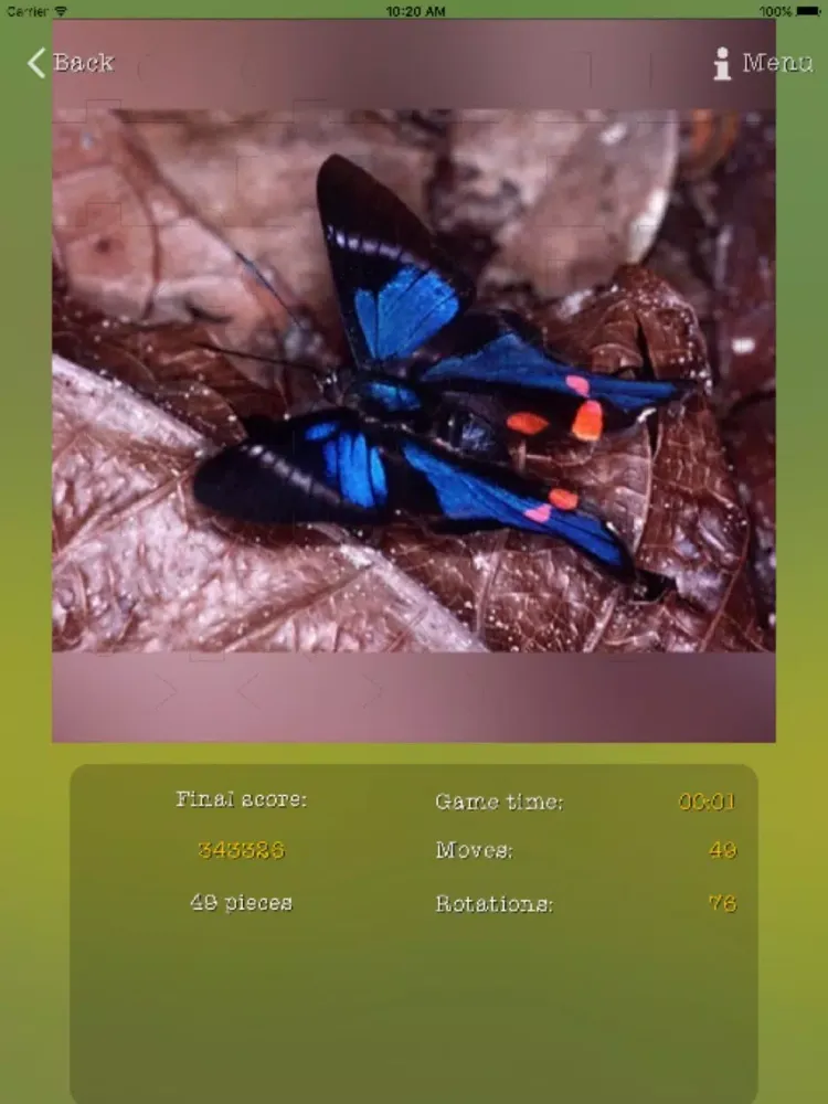 تصاویر Insects Best Puzzles iPad 