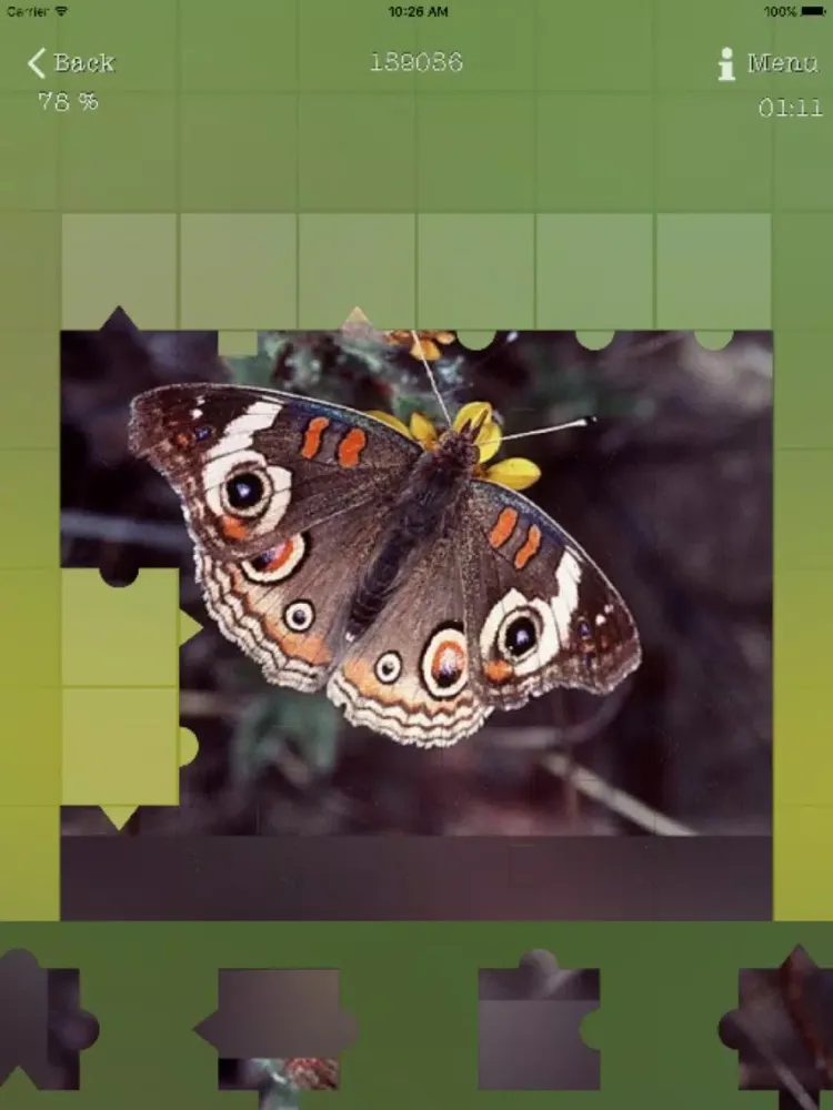 تصاویر Insects Best Puzzles iPad 