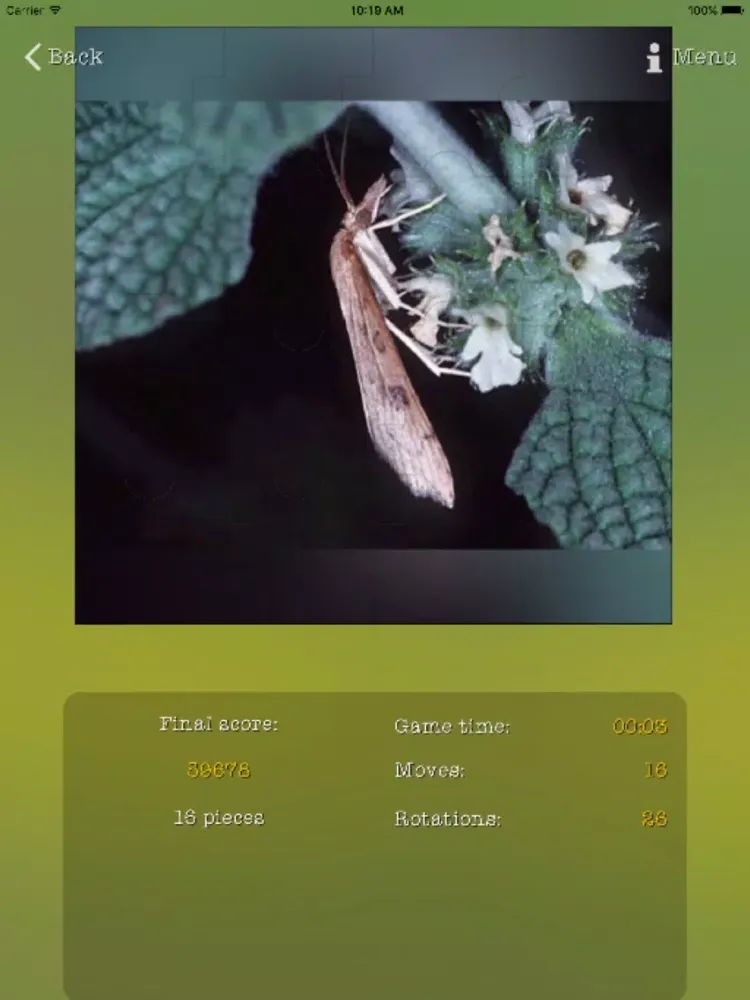 تصاویر Insects Best Puzzles iPad 