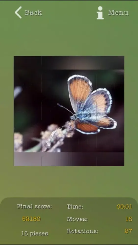 تصاویر Insects Best Puzzles