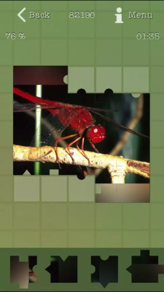 تصاویر Insects Best Puzzles