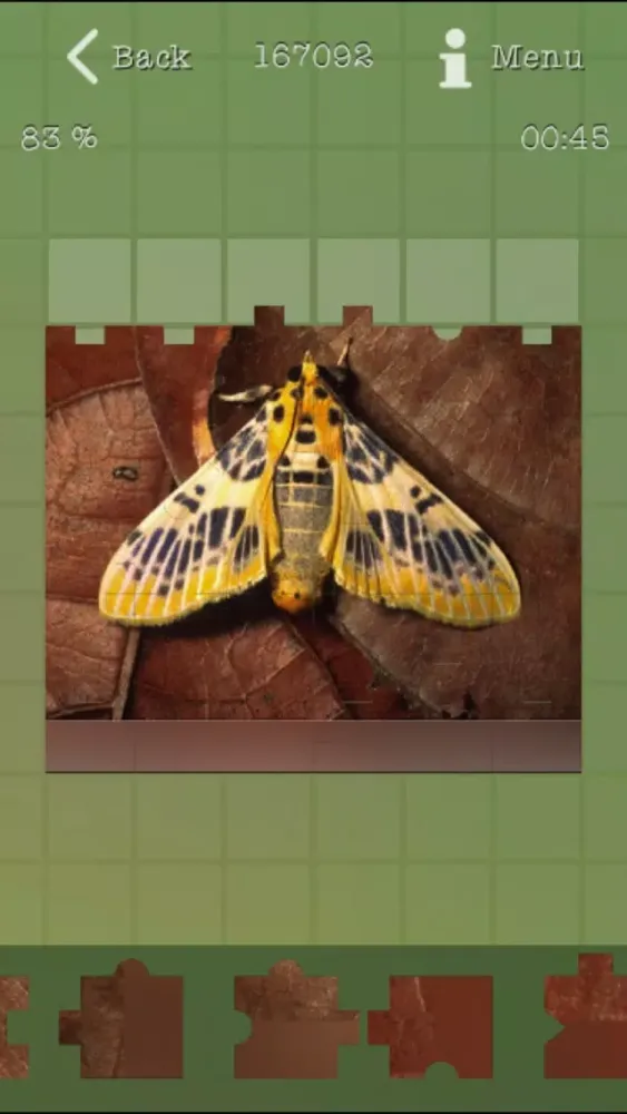 تصاویر Insects Best Puzzles