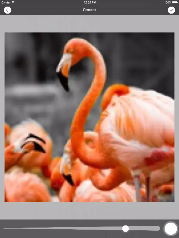 Capturas de tela do Photoscape - Colors Accent iPad 