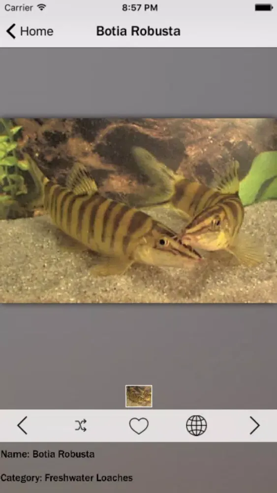 Fish Fresh Water Info स्क्रीनशॉट