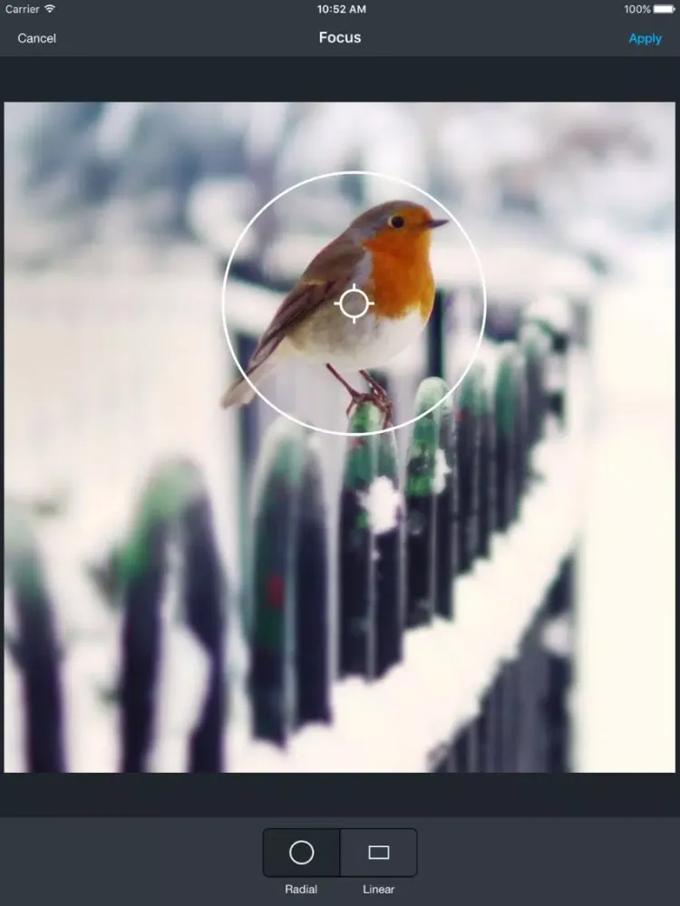 صور Prime Photo Editor iPad 