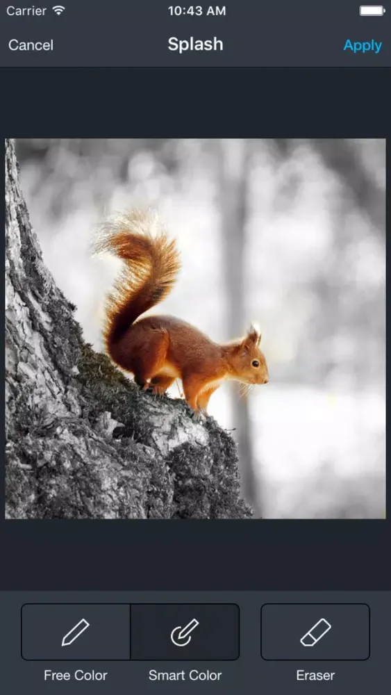 صور Prime Photo Editor