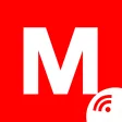Mastech