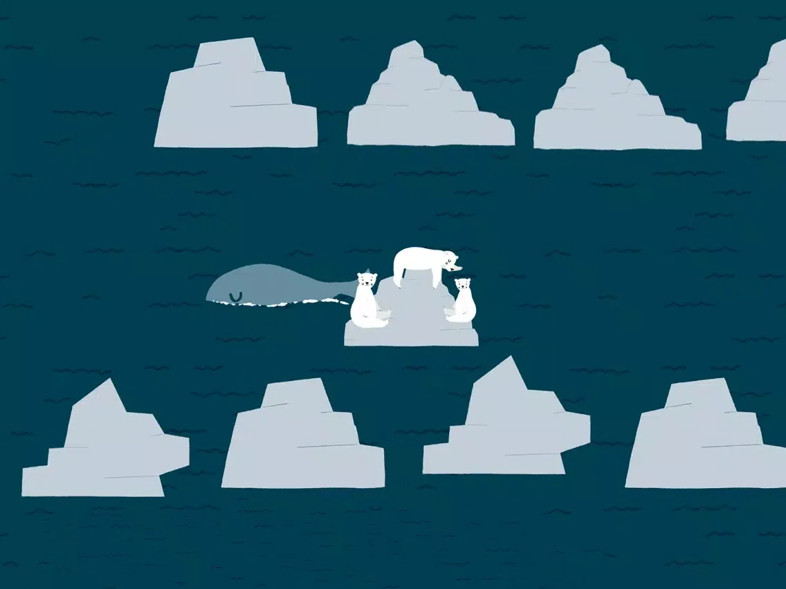 Jazzoo Koala, Shark & friends iPad  Screenshots