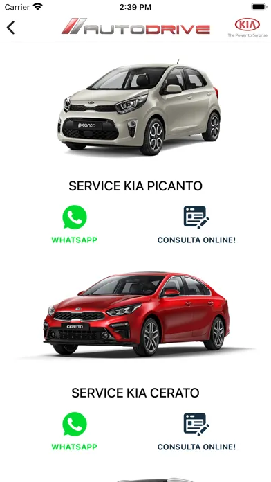Zrzuty ekranu AutoDrive