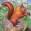 Forest Wild Squirrel Simulator