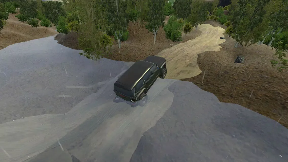 OffRoad Jeep Rally Dash Sim应用截图