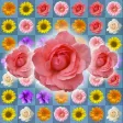 Blossom Link: Flower Valley