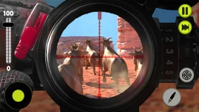 Animal Sniper Hunting 3D Games应用截图