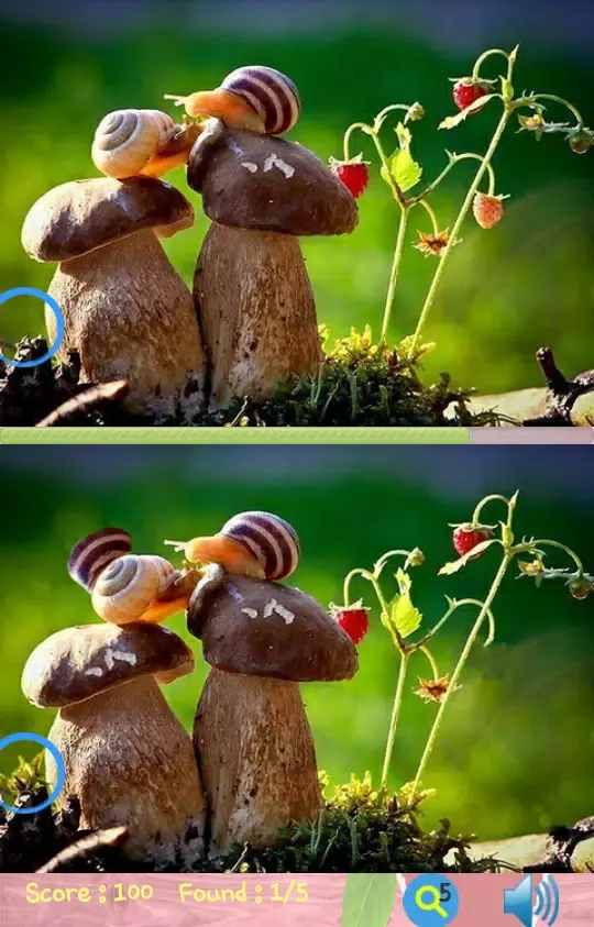 Spot the Differences 2020 Screenshots