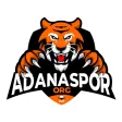 Adanaspor.org