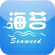 中国海苔网