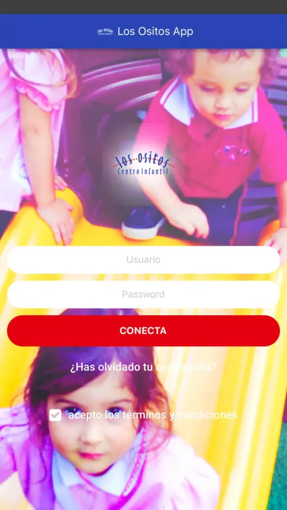Los Ositos App Screenshots