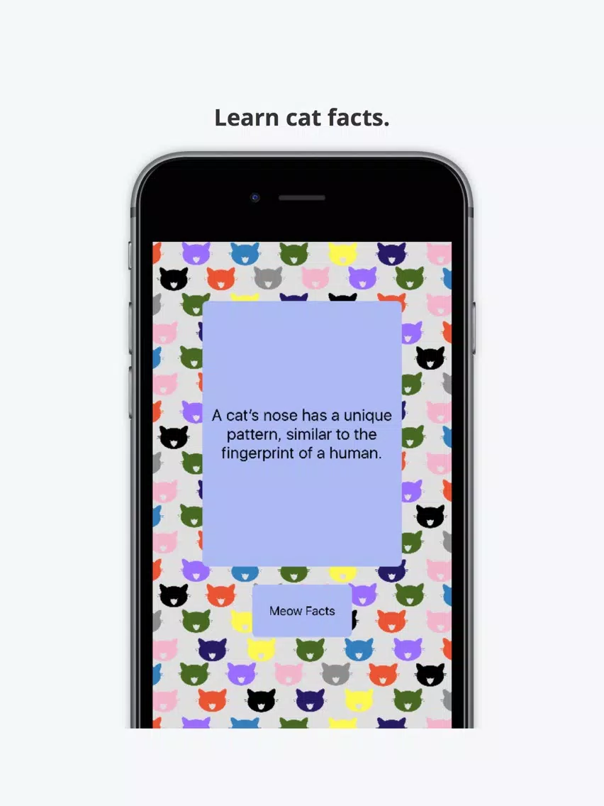 I Am Cat iPad  स्क्रीनशॉट