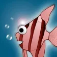 Angel Fish