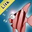 Angel Fish Lite