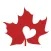 Kawasaki Disease Canada Photo Editor