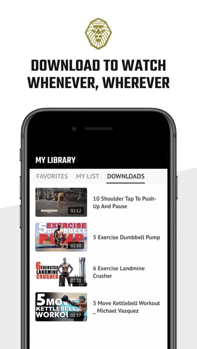 MV Fit by Michael Vazquez Screenshots