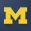 Michigan Wolverines Football N