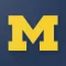 Michigan Wolverines Football N