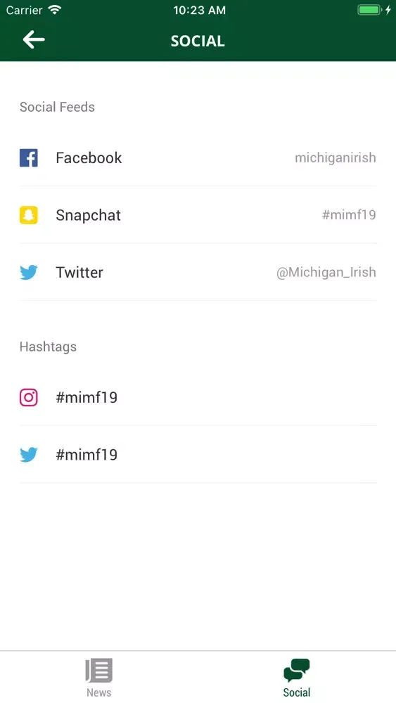 Screenshot di Michigan Irish Music Festival