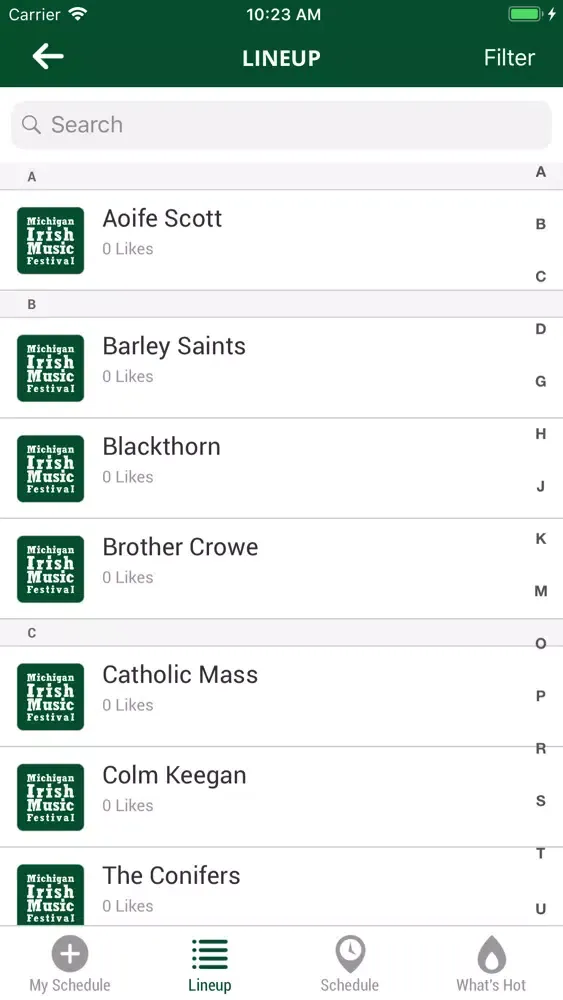 Screenshot di Michigan Irish Music Festival