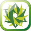 Searchly - Search Smartly with Social Insights