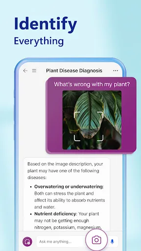 Bing: Chat with AI & GPT-4 Screenshots