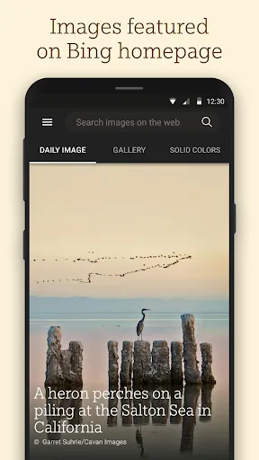Bing Wallpapers স্ক্রিনশট