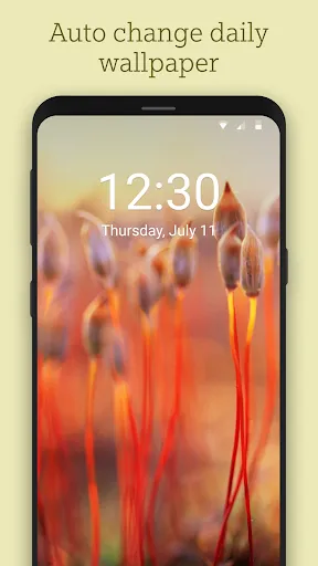Bing Wallpapers স্ক্রিনশট