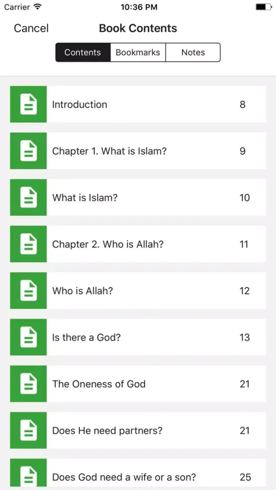 Ảnh chụp màn hình của The light within islam