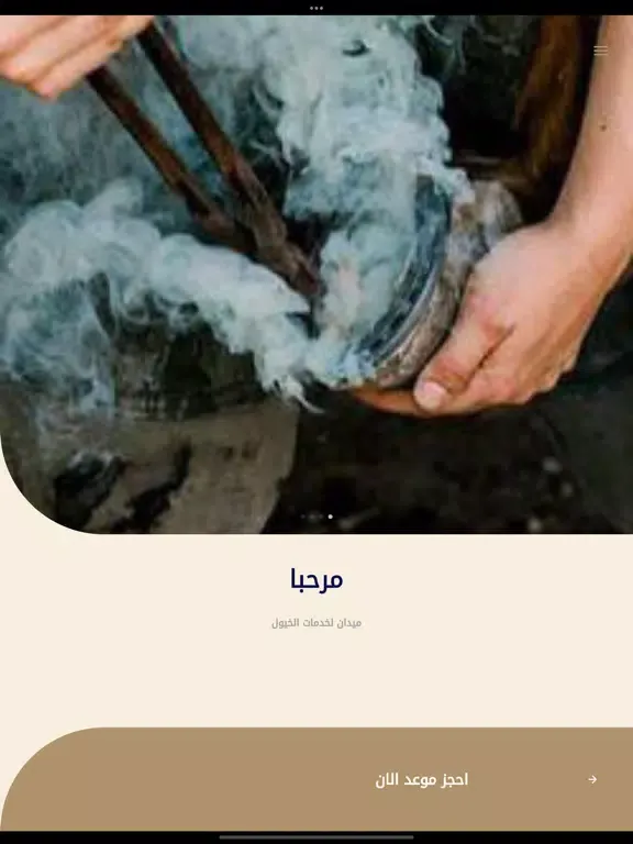 Скриншоты Midan . ميدان iPad 