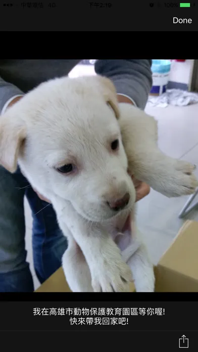 Capturas de tela do 動物領養－AnimalAdoption